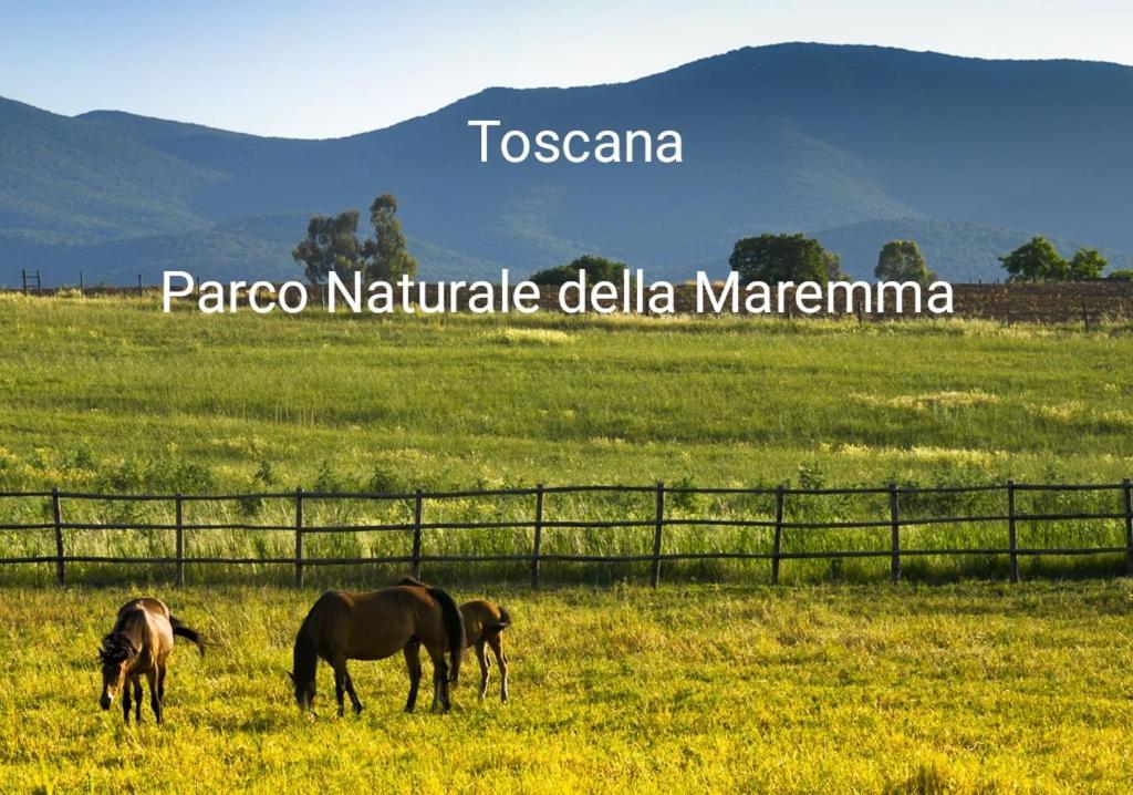 Appartamento La Libellula Grosseto Exteriér fotografie
